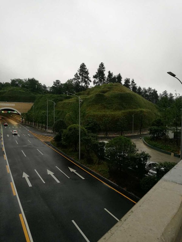 2017062614984629731542531906.jpg 2017062614984629731542531906.jpg