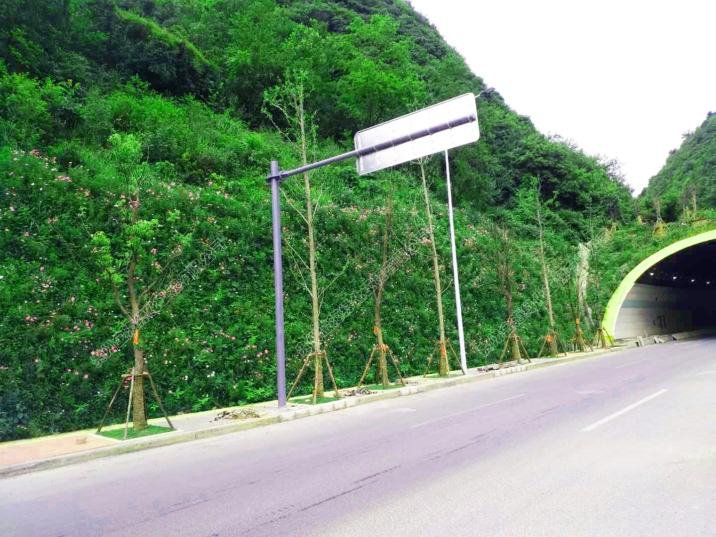 2018073015329165951009551247.jpg 2018073015329165951009551247.jpg