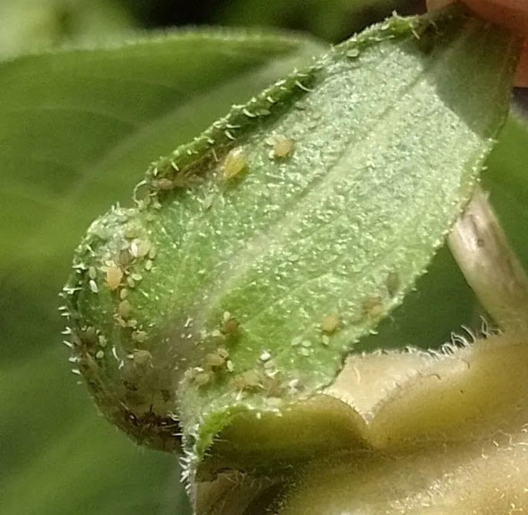 2022111816687372301007101345.jpg 微信圖片_20221118100124.jpg